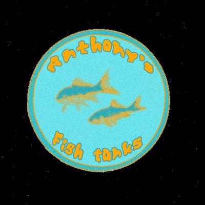 First Steps on setting up your first aquarium!