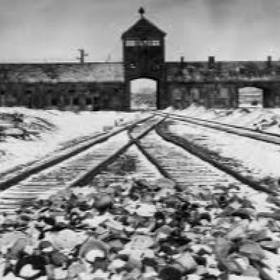 T8 X 35 *Campos de la Muerte: Auschwitz´Treblinka y Sobibor**El OVNI de Bariloche*