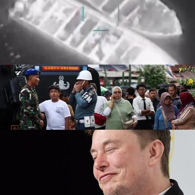 Caribbean Sea, Jakarta, & Musk