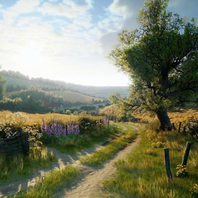 Country Summer Day