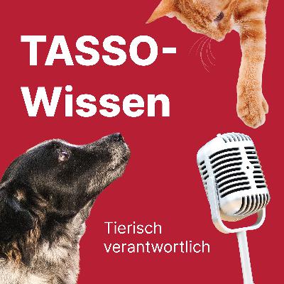 Willkommen 2026