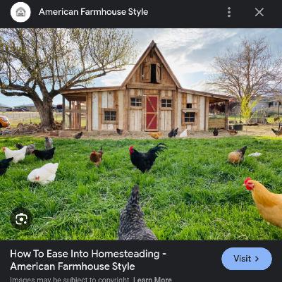 BS with Bob - Homesteading with Pools and Hot Tubs BS with Bob - Homesteading with Pools and Hot Tubs