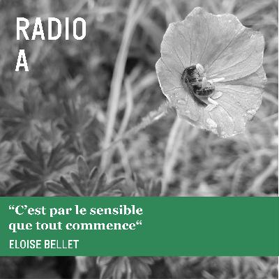 “C’est par le sensible que tout commence“ - Eloise Bellet “C’est par le sensible que tout commence“ - Eloise Bellet