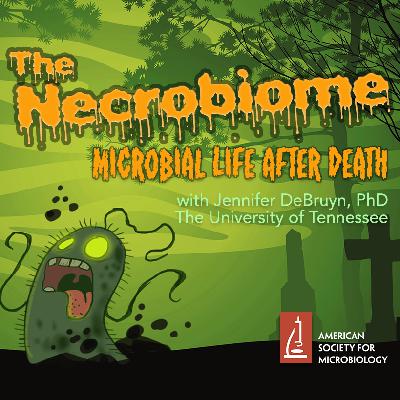 MWV 107 The Necrobiome: Microbial Life After Death - Audio Only