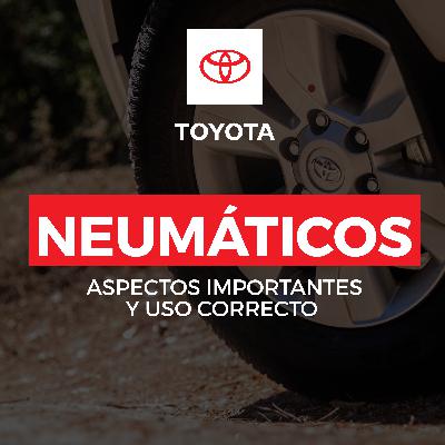 Neumáticos - Aspectos importantes y uso correcto