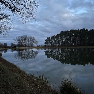 Eine Runde um die Teiche