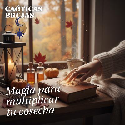 Magia para multiplicar tu cosecha