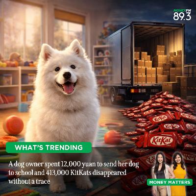 What’s Trending: Why would someone steal 413,000 KitKat bars? Also, would you send your dog to school for $2,200? What’s Trending: Why would someone steal 413,000 KitKat bars? Also, would you send your dog to school for $2,200?