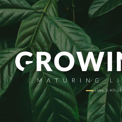 Growing Up: Maturing Like Jesus Luke 2:40-52 pt.1