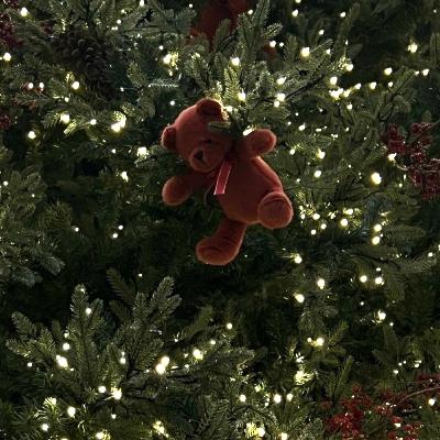 EP15.2023년 독감으로 마무리합니다..ㅎ(With 새해다짐 ASMRver..) EP15.2023년 독감으로 마무리합니다..ㅎ(With 새해다짐 ASMRver..)