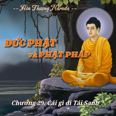 Đức Phật và Phật Pháp | Chương 29. Cái gì đi Tái Sanh ? (Lý Vô Ngã) - Hòa Thượng Nārada