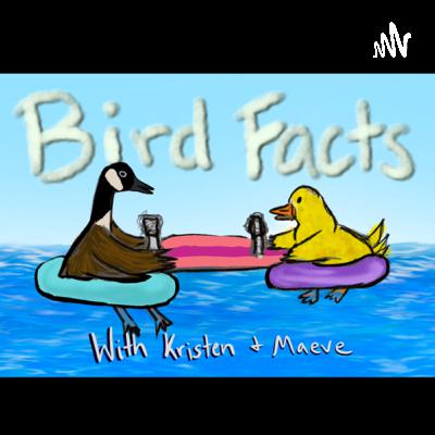 Wisconsin Bird Rescue with Janet Wisconsin Bird Rescue with Janet