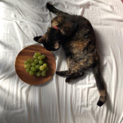 episode 17 やばい最後の話の記憶しかない！立ち上げようとしてるデジタルメディアについてです…(グッズ等)