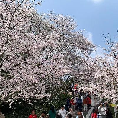 因为四月五月很有盼头,甚至期待起了夏天