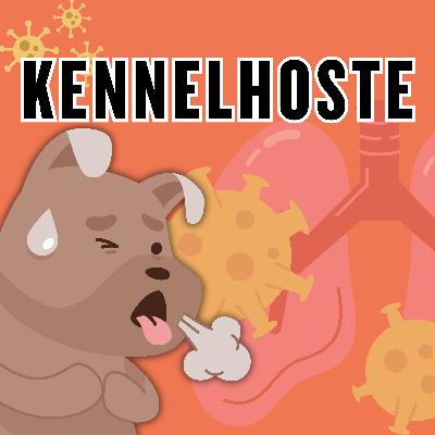 Hoste og harking – la oss snakke kennelhoste! Hoste og harking – la oss snakke kennelhoste!
