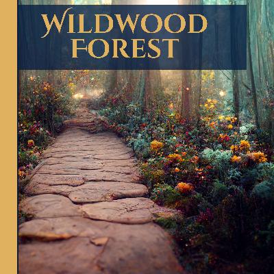 Wildwood Forest: An Enchanted Sleep Story Wildwood Forest: An Enchanted Sleep Story