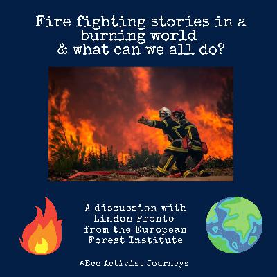 Fire fighting stories in a burning world & what can we all do?