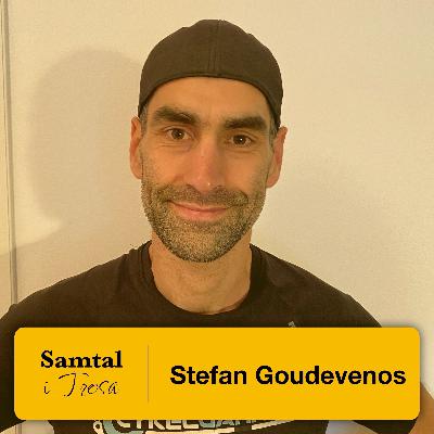 Stefan Goudevenos Stefan Goudevenos