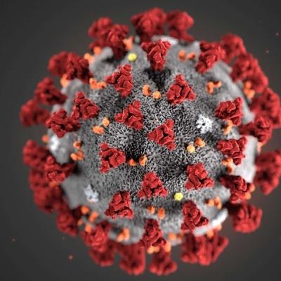 Session 7 - COVID-19 Session 7 - COVID-19