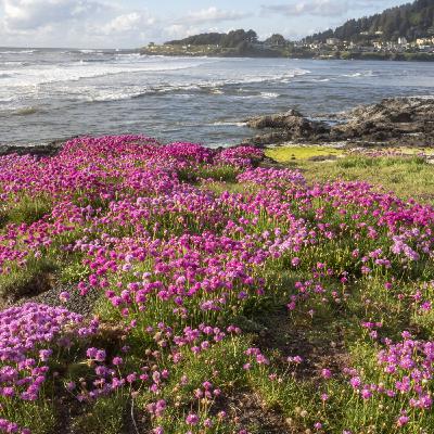 Episode 382: Pastor Meredith 7/6/25