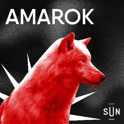 AMAROK AMAROK