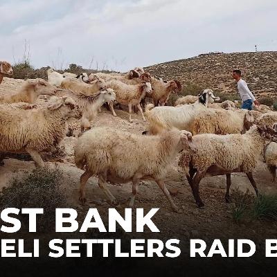 Israeli settlers raid barn: Palestinian family assaulted and animals killed
