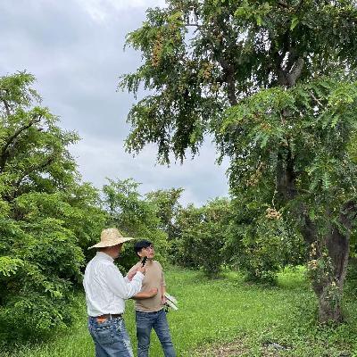 Vol.03 他们在他乡种地，如此种地20年