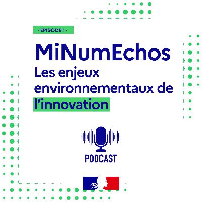 Les enjeux environnementaux de l'innovation Les enjeux environnementaux de l'innovation