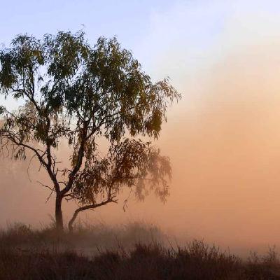 Les crises environnementales : les particules