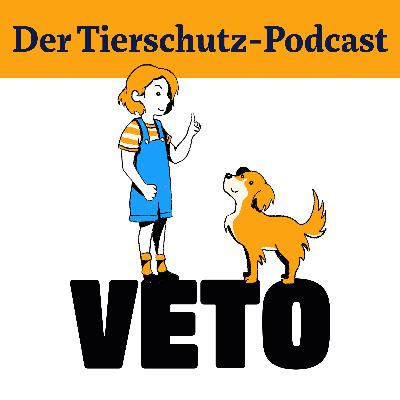 Tierschutzjugend: Hier kommen die Tierschützer:innen von morgen Tierschutzjugend: Hier kommen die Tierschützer:innen von morgen