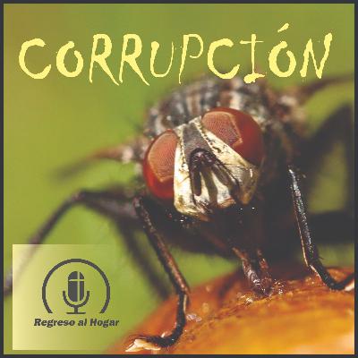 Cómo evitar la corrupción