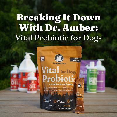 Breaking It Down with Dr. Amber: Vital Probiotic for Dogs