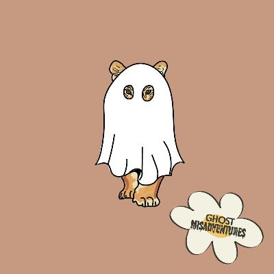 Halloween Special: Horror at Joe Exotic Zoo