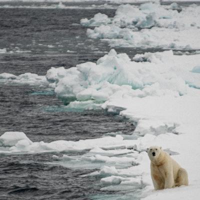 Climate Change: what are Asymmetric Risks?