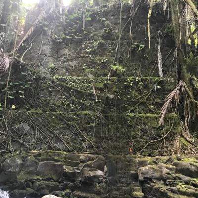 Alleged Hidden Hawaii Step Pyramid