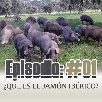 ¿Qué es el Jamón Ibérico?