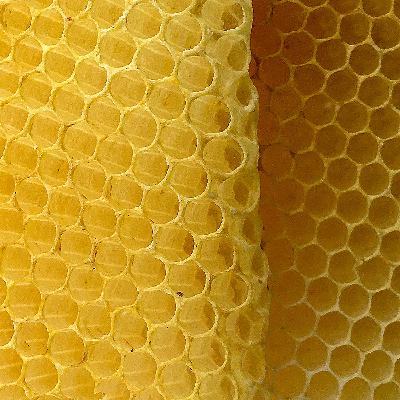 Biprodukter – 5. Bivax