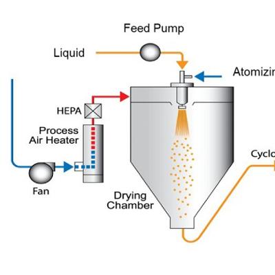 Tác động của quá trình chế biến sữa công thức lên khả năng tiêu hoá của trẻ sơ sinh Tác động của quá trình chế biến sữa công thức lên khả năng tiêu hoá của trẻ sơ sinh