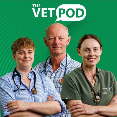 Ep 26: The O'Learys - Talkin' 'bout 3 generations