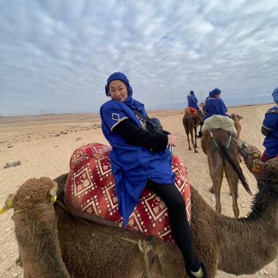 不二子にはなれなかったモロッコの砂漠