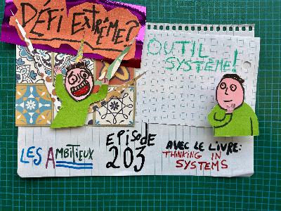 203. Défi Extrême? Outil-Système! (Thinking in Systems) 203. Défi Extrême? Outil-Système! (Thinking in Systems)
