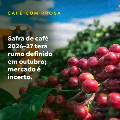 Safra de café 2026-27 terá rumo definido em outubro; mercado é incerto