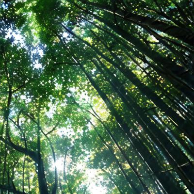 EP141 春光乍現(日本京都嵐山)《聲。視非凡：第二屆世界慢遊數位創作展》《視角酷走私團》