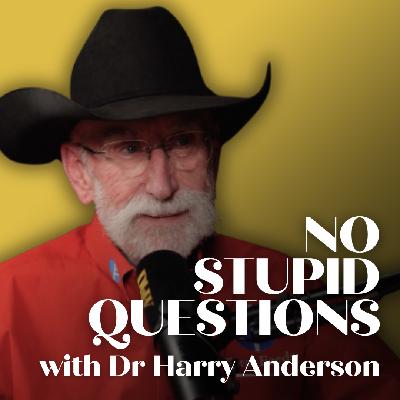 Equine Digestion Explained: Sugar, Fiber, and Mineral Balance.  — No Stupid Questions with Dr. Harry Anderson