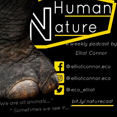 S1E1 Human Nature Podcast: Peter Rowland and Bowerbirds