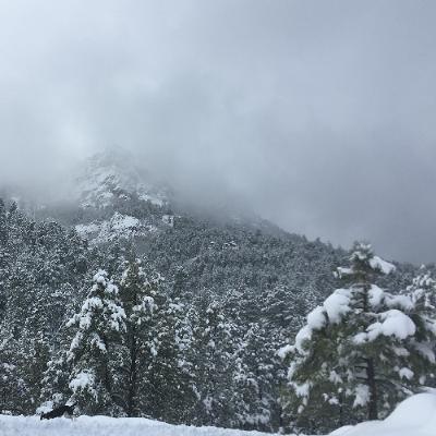 Episode 394 (ft: Kevin Johnson)