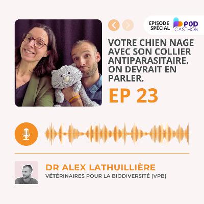 Votre chien nage avec son collier antiparasitaire. On devrait en parler. (#SpécialPodcasthon) Votre chien nage avec son collier antiparasitaire. On devrait en parler. (#SpécialPodcasthon)