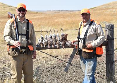 Pro guides on prairie and forest grouse, dogs, and habitat Pro guides on prairie and forest grouse, dogs, and habitat