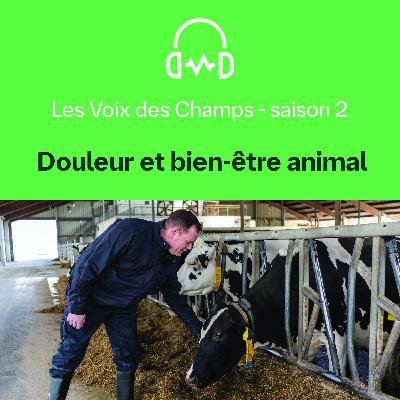 LesVoixDesChamps - S02-E02 : Douleur et bien-être animal