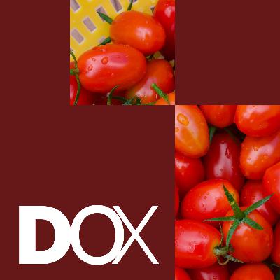 Fremtidens Mad: Trods en beskeden mængde sæd: Fluen er fremtidens mad